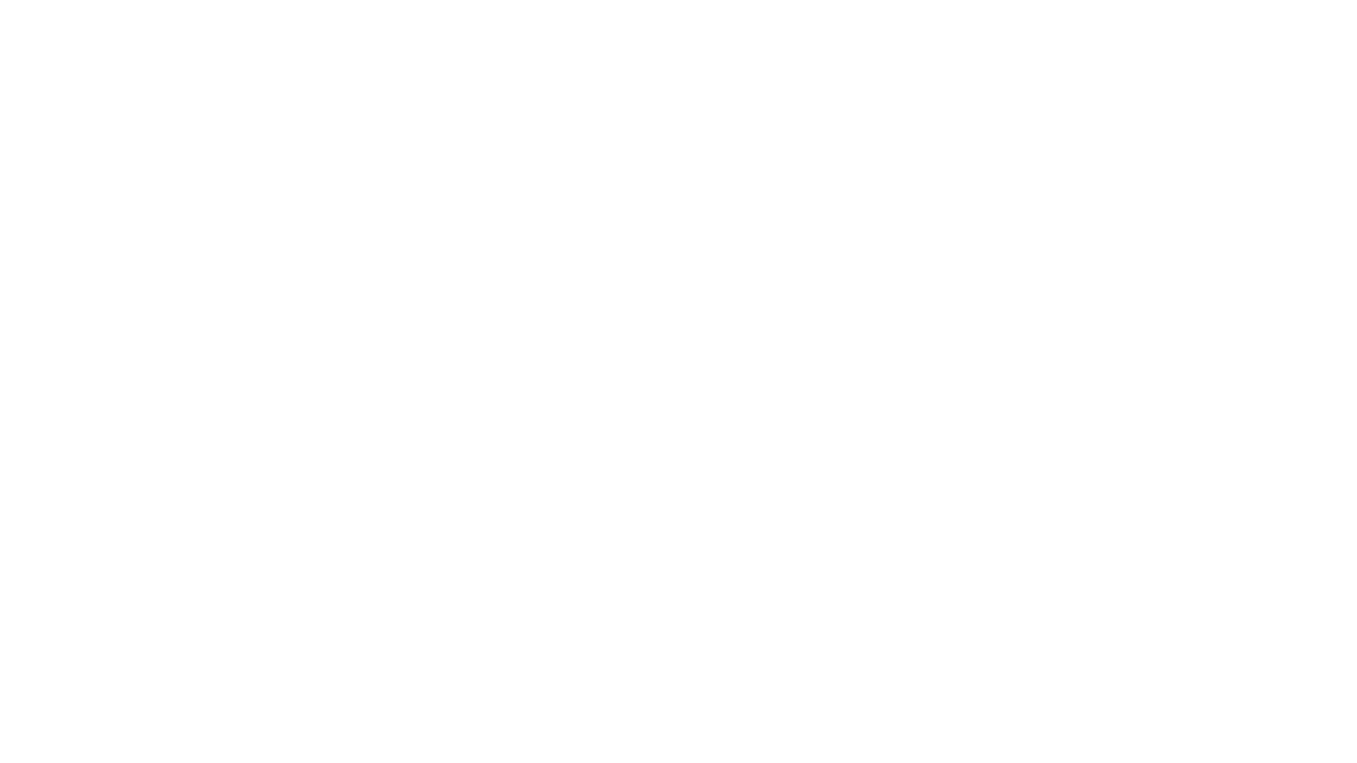 AYB-Group-Kundenlogo-Max-Wild